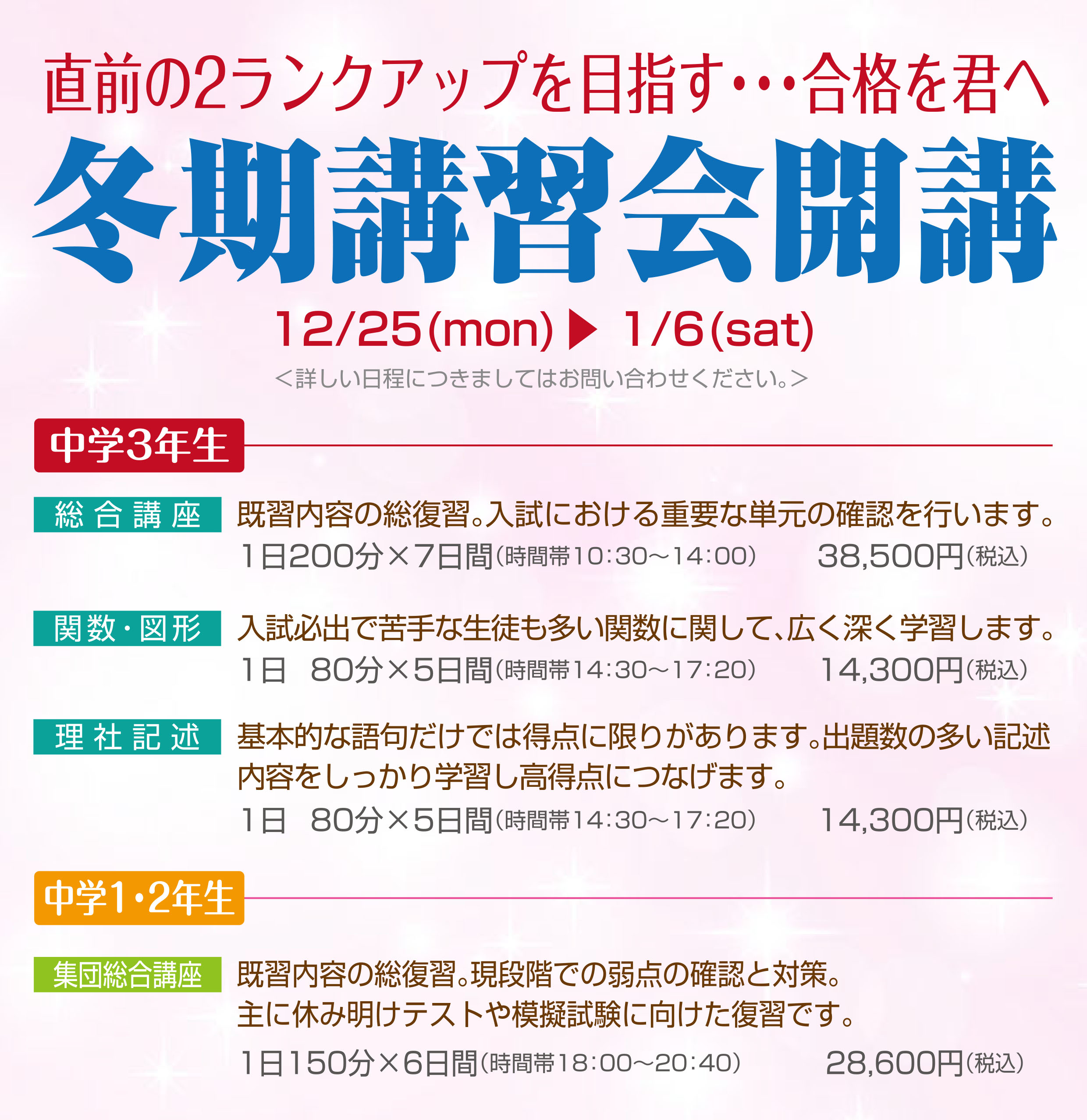 トリプルレビュー 2001/2002年 冬期直前講習会 - 参考書